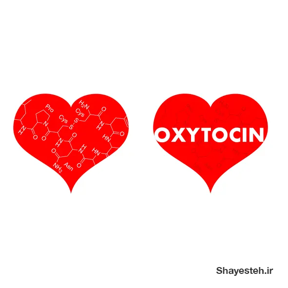 Oxytocin